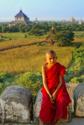 portrait of young monk photo