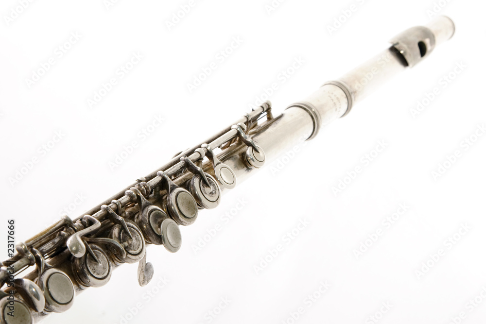 Fototapeta premium transverse flute