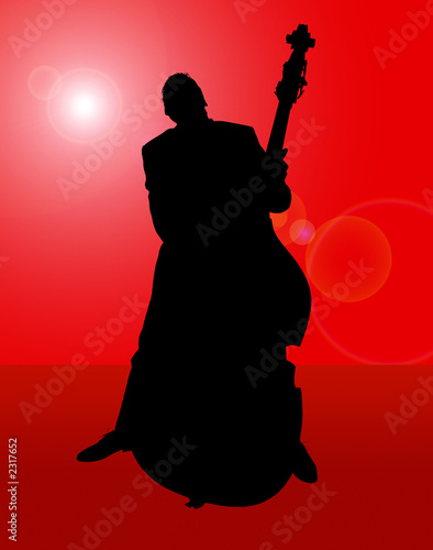 contrabassista