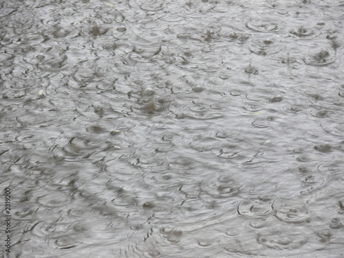 rain
