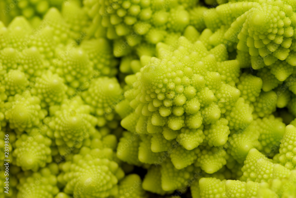 romanesco 5 romanesco 5