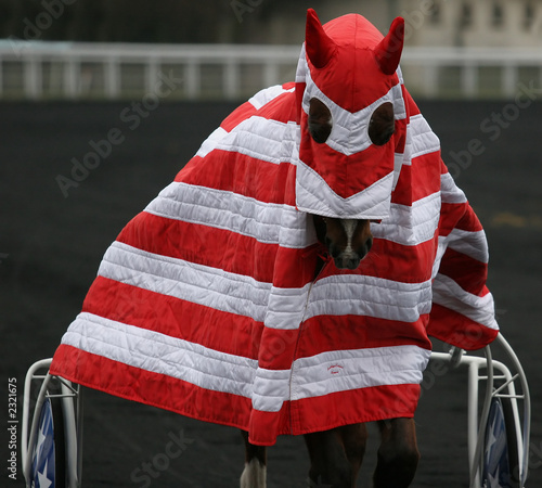 horses in vincennes, france, prix d'amerique
