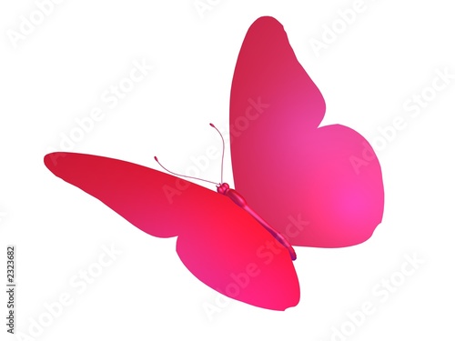 butterfly papillon rose rouge