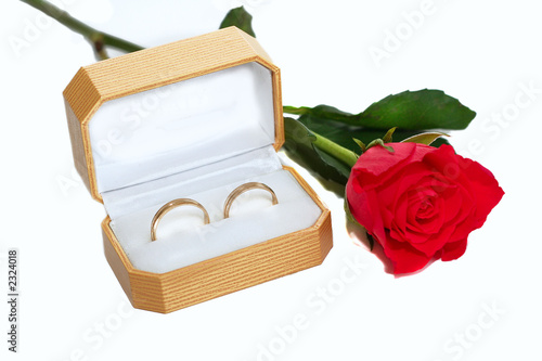 isolated wedding rings