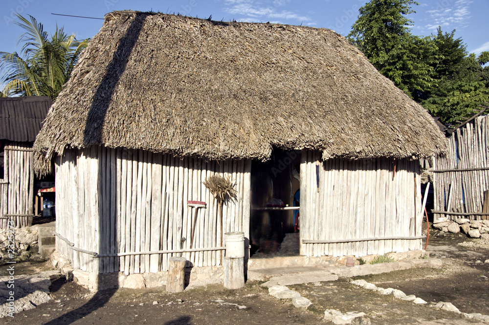 typical mayan house