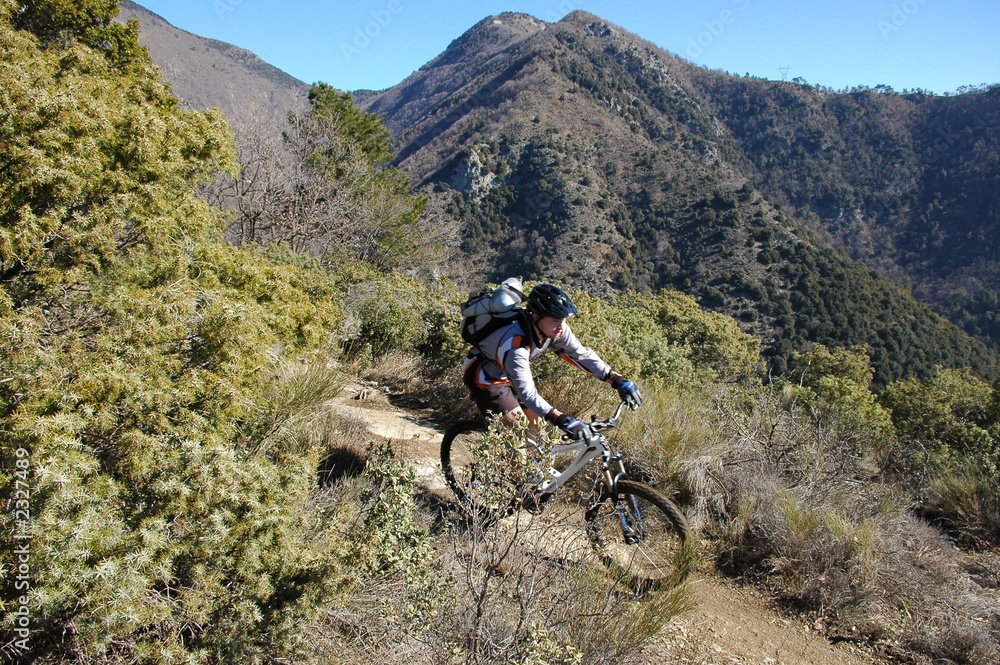 Obraz premium vtt sospel