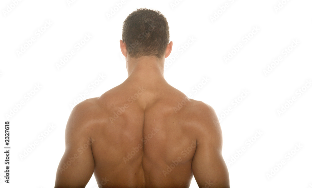 back of a muscular body builder