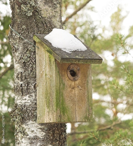 Obraz na płótnie bird house