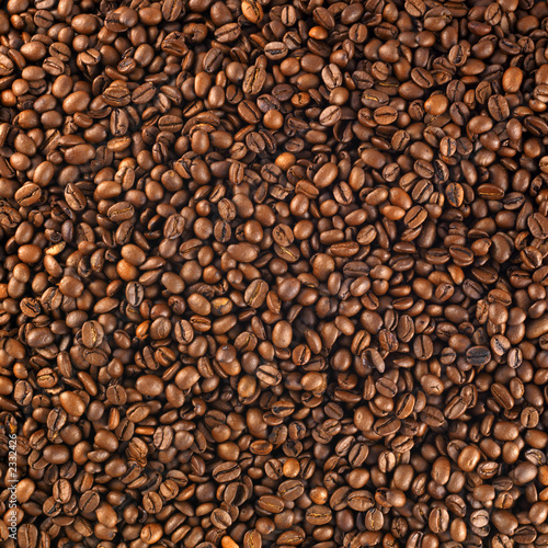 fresh roasted coffee beans