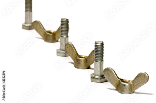 female screw with screw bolt