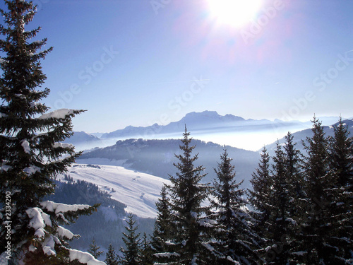 photo de montagne et de sapin.