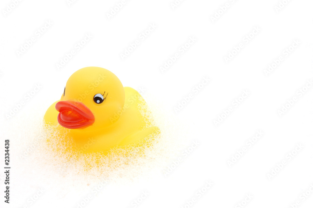 yellow rubber duck in bubbles yellow rubber duck in bubbles