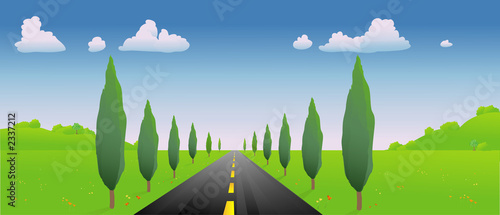 road in the springtime