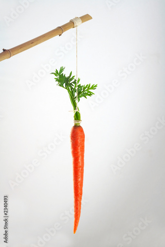 carrot on a stick incentive