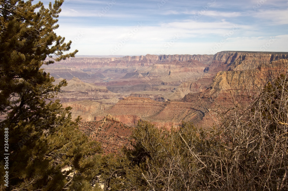 grand canyon scenic view