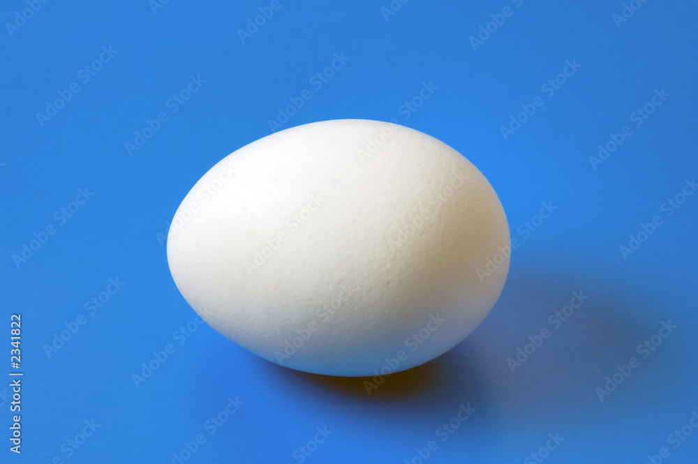single hen egg close-up on blue background single hen egg close-up on blue background