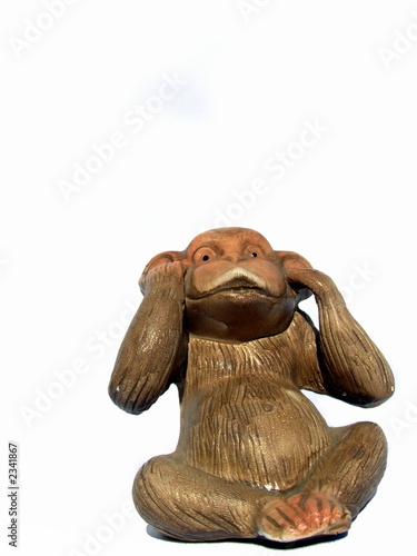 Photography small monkey