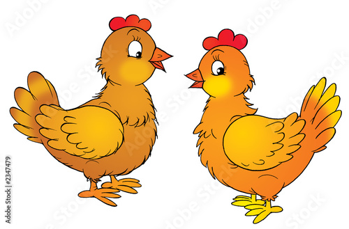 hens