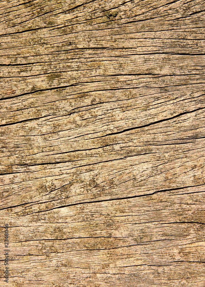 rough wood texture background. rough wood texture background.