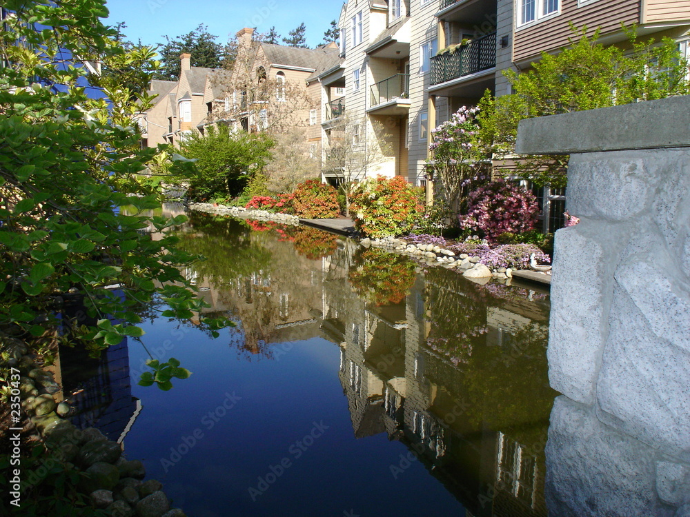 Fototapeta premium garden