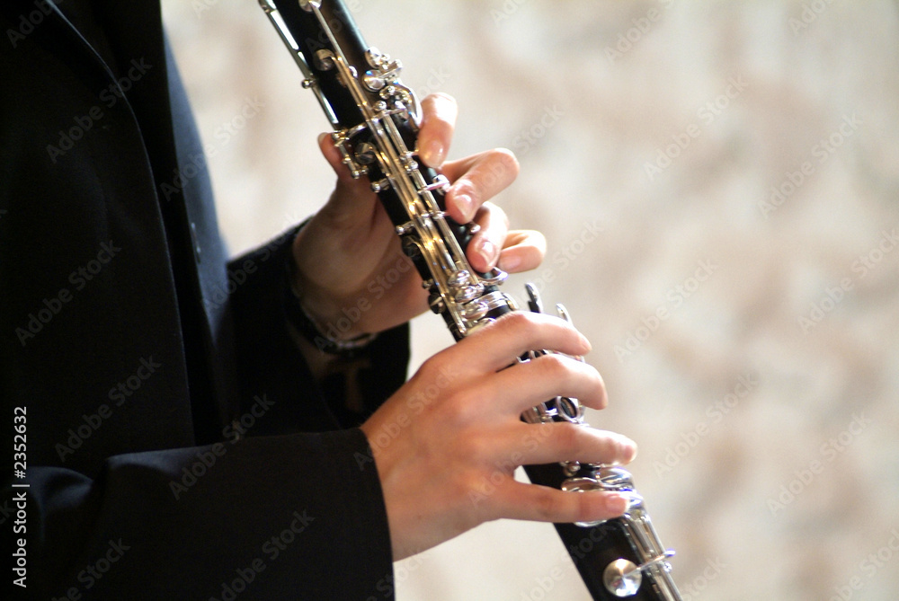 Fototapeta premium flautist