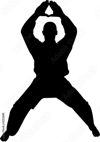 martial arts silhouette