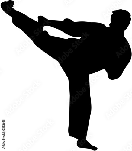 martial arts silhouette
