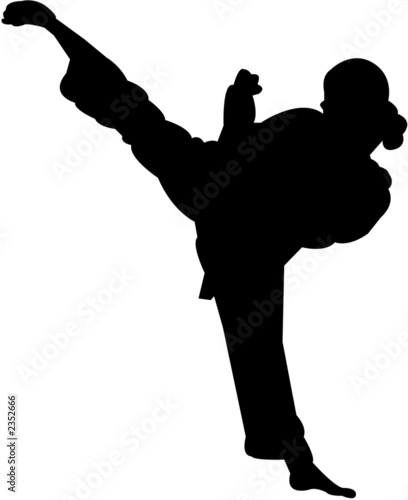 martial arts silhouette