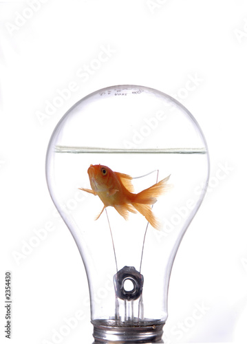 innovation 2