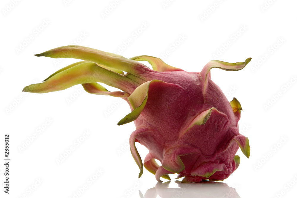 dragon fruit