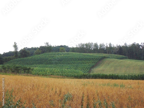 wisconsin agriculture