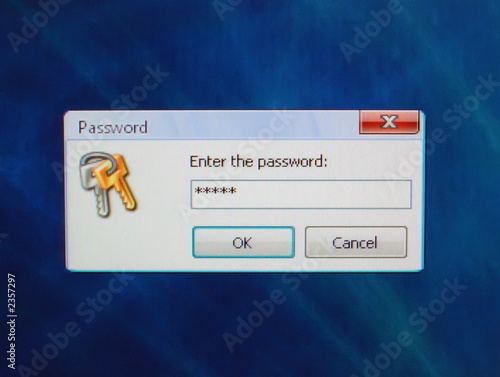 password window