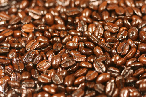 coffee beans with selective focus