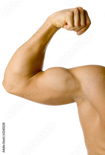 male flexed arm photo