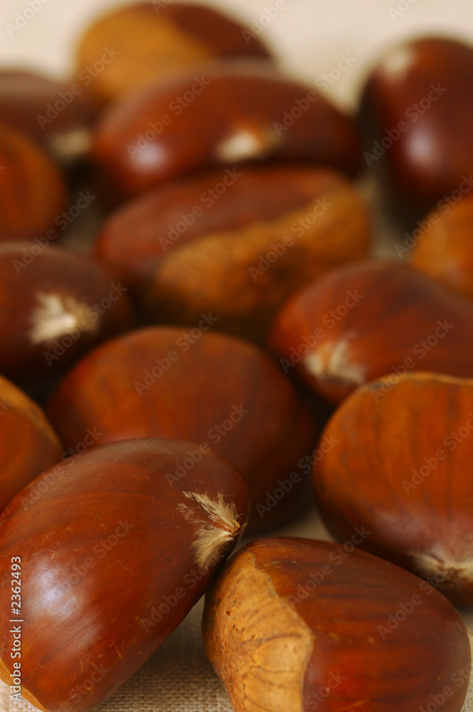 Obraz premium chestnuts