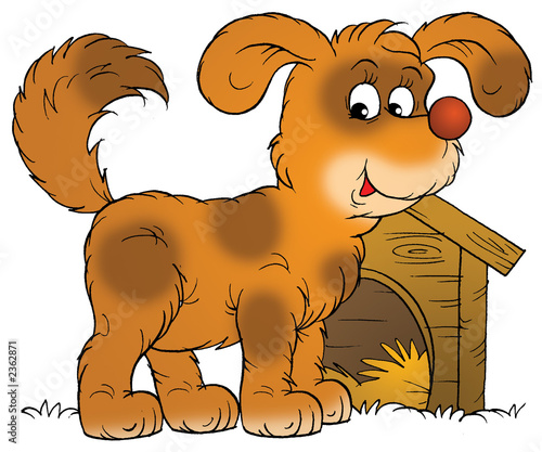 brown doggy