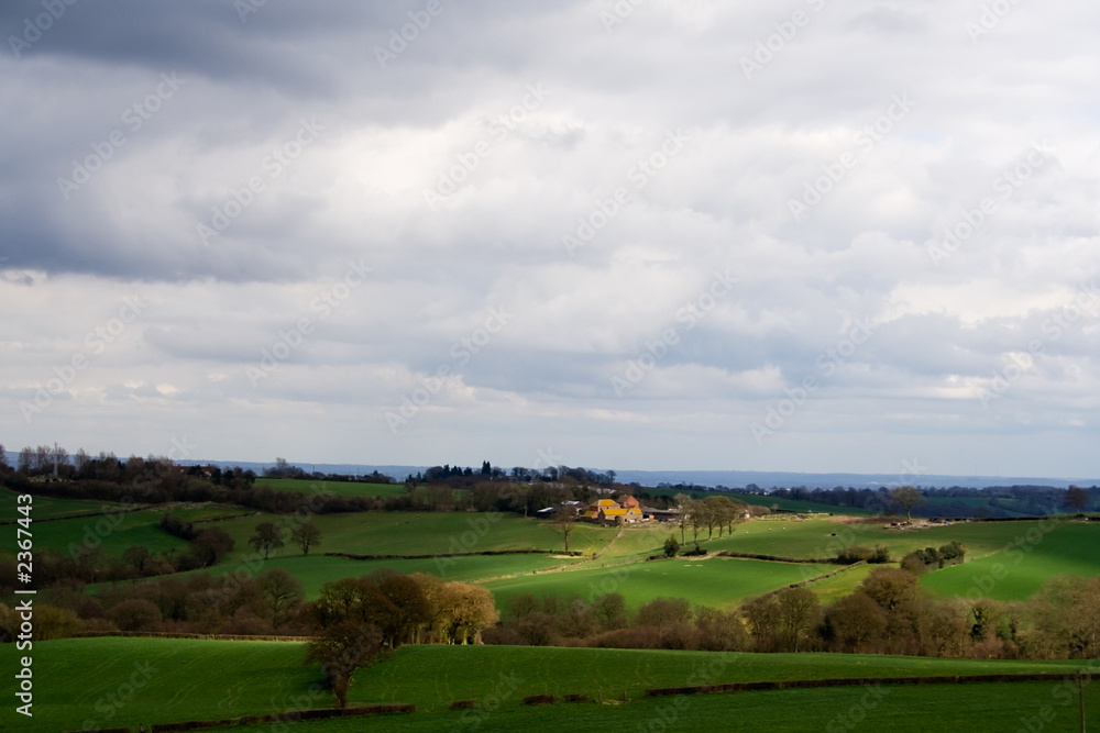 rural scene