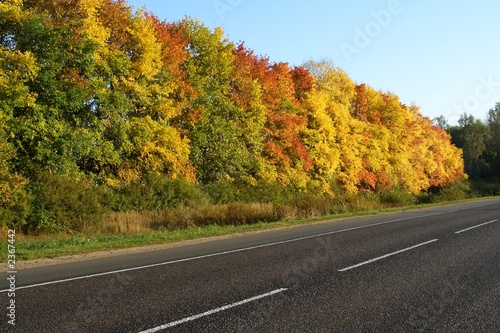 golden autumn