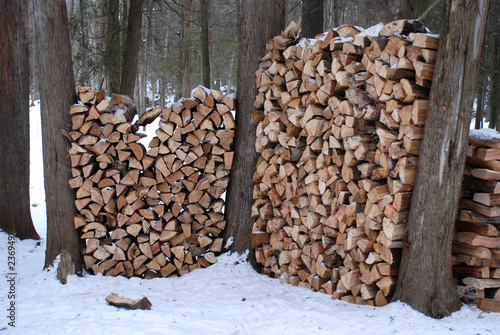 winter firewood photo