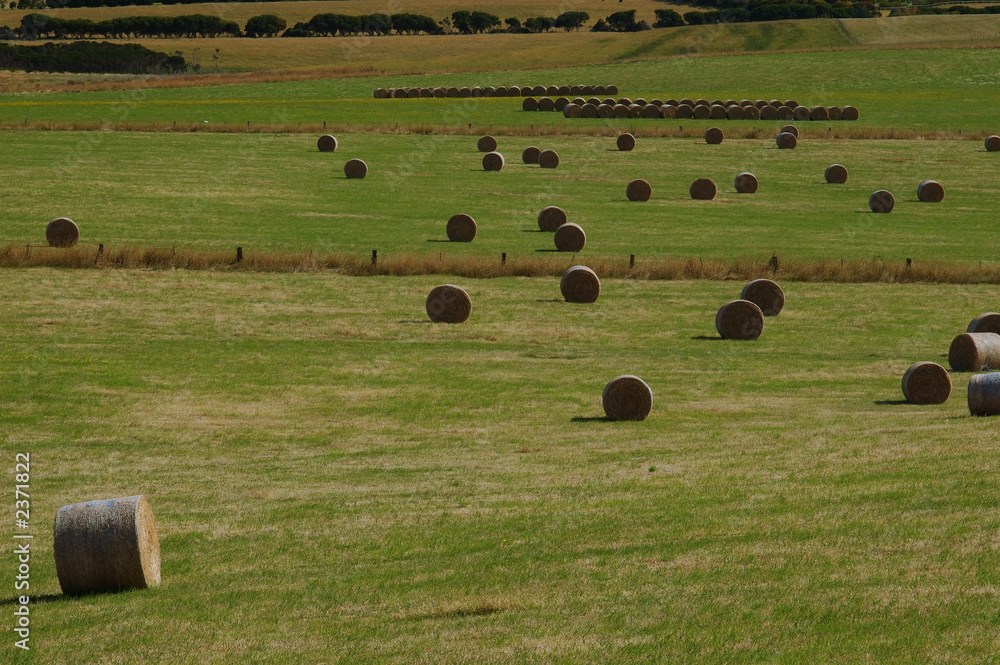 haystacks