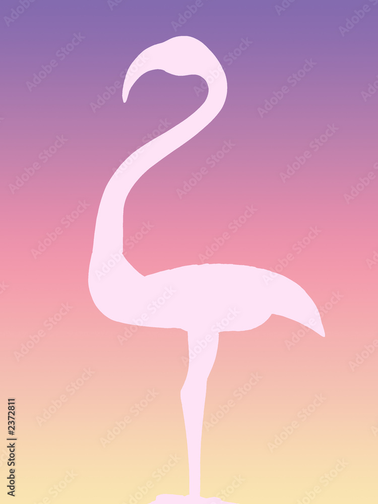 Fototapeta premium flamingo silhouette