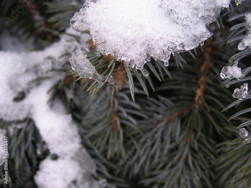 snow