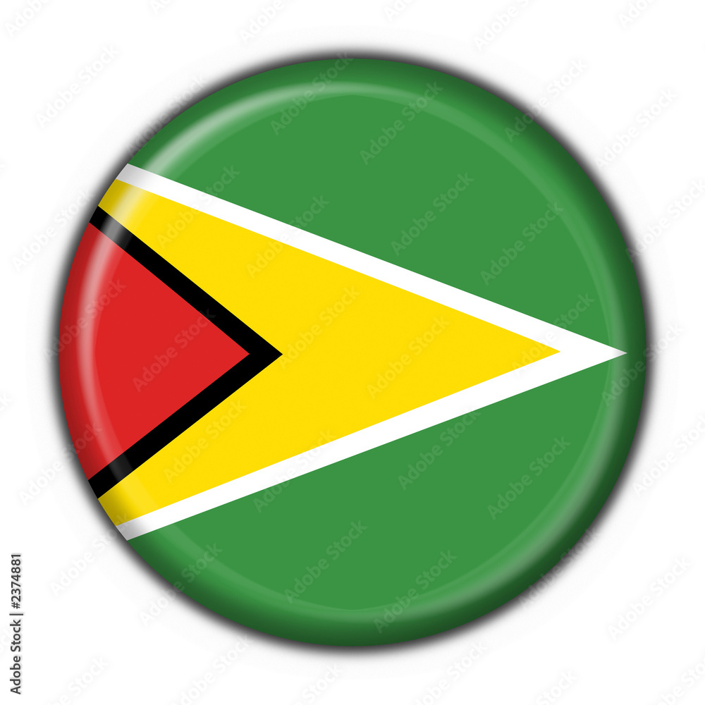 bottone bandiera guyana button flag bottone bandiera guyana button flag