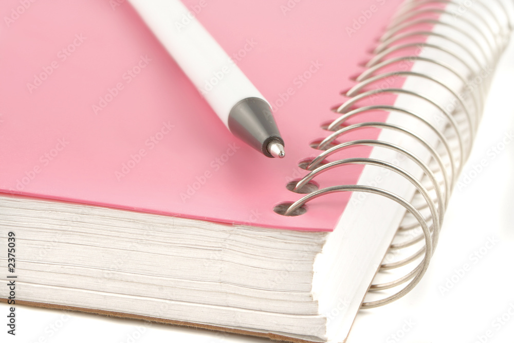 ring binder and pen ring binder and pen