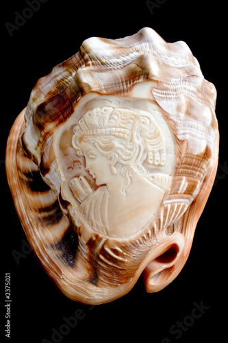 cockle-shell with incised antique face photo