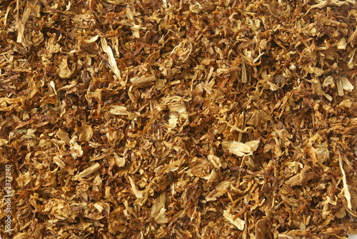Dried light brown sliced tobacco leaves background close-up.