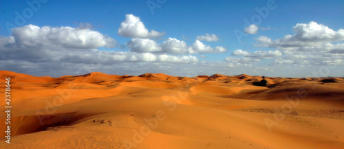 sahara -  maroc