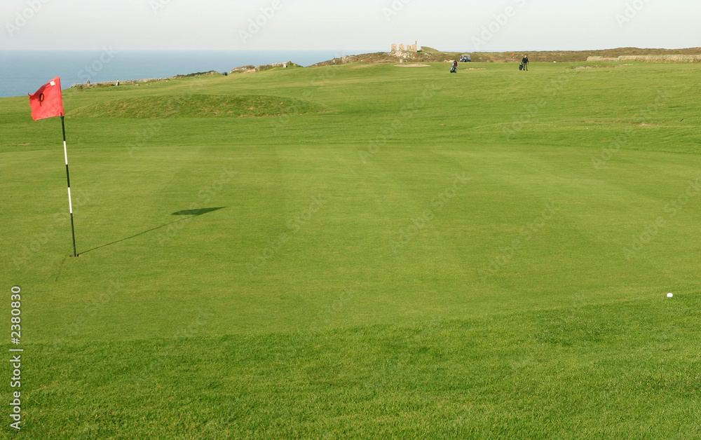 a golf ball on the fringe of a green. a golf ball on the fringe of a green.