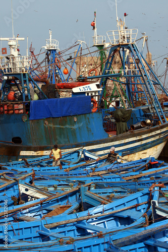 port de pêche - essaouira - maroc