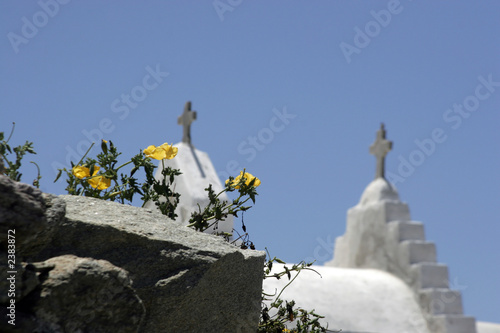 wilde blumen vor orthodoxen kirchen photo